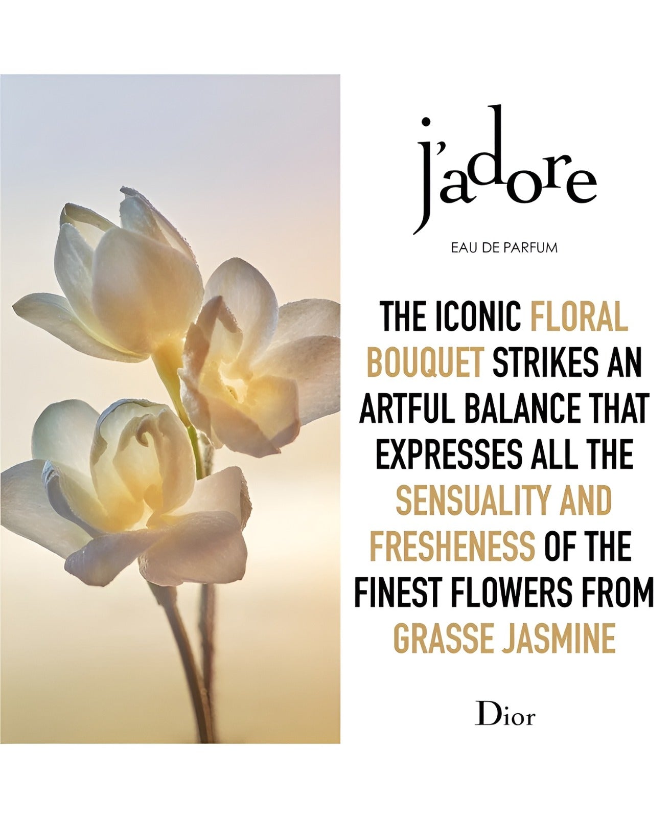 J’adore Dior Eau de Parfum 3.4 oz | Luxury Women Perfume